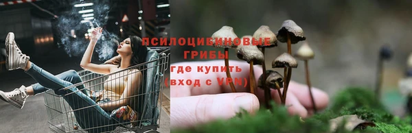 ГАЛЛЮЦИНОГЕННЫЕ ГРИБЫ Каменск-Шахтинский