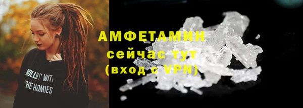 винт Инта