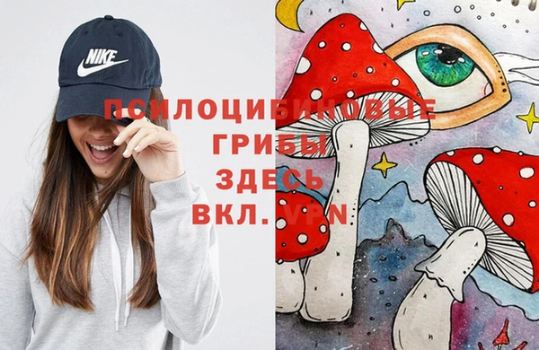 первитин Каменногорск