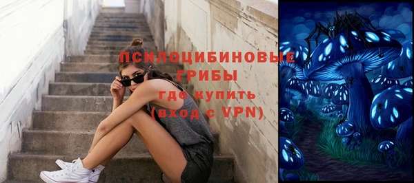 мяу мяу мука Карпинск
